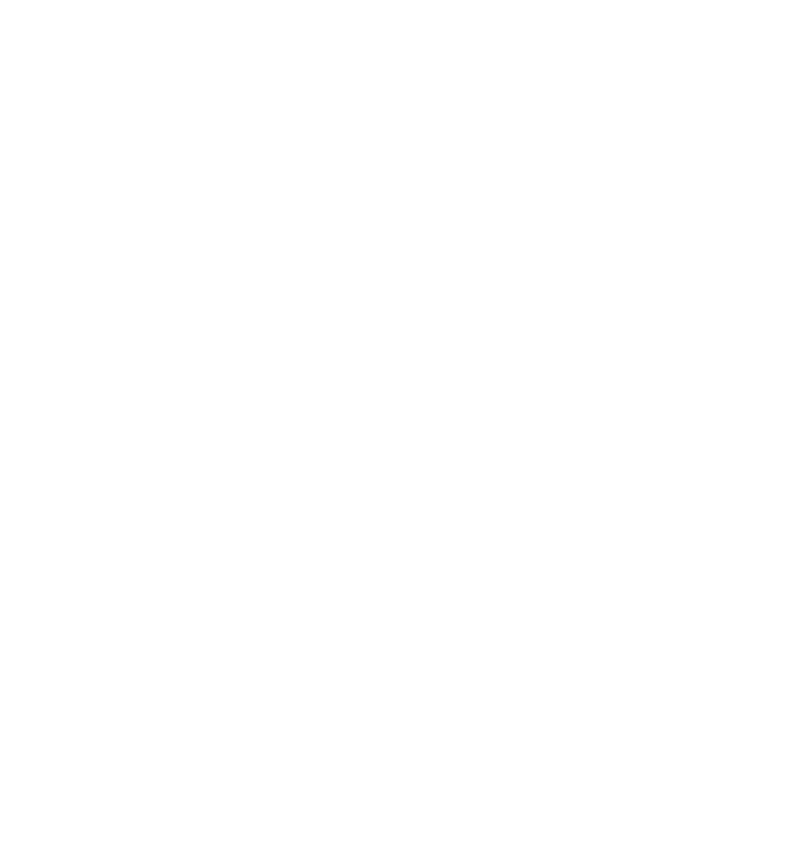 WMS Logo